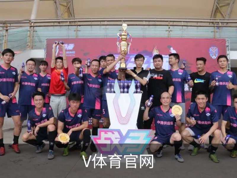 V体育官网简介